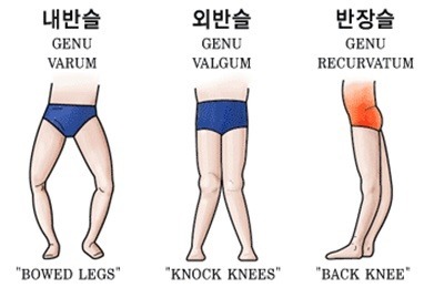 발레 좋아하는 게녀들, 상식은 아니지만 알아두면 좋은것! | 인스티즈