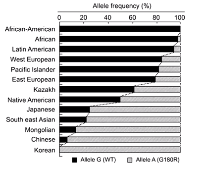 한국인들이 몸에서 냄새가 나지 않는 이유 | 인스티즈