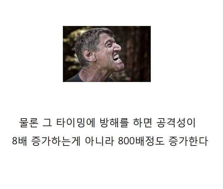 남자의 자위 후 심리상태 | 인스티즈
