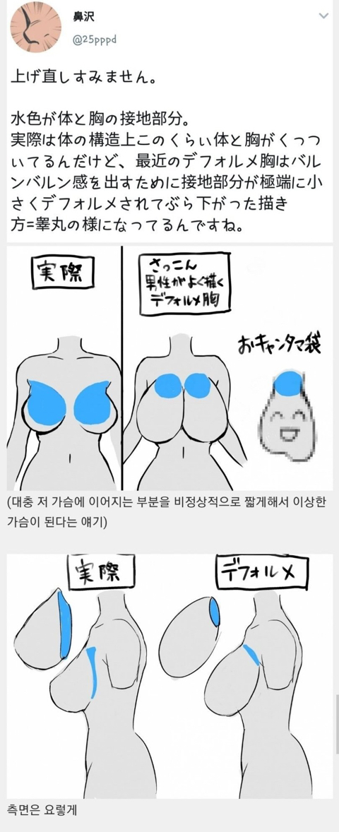 남덕들이 그리는 가슴 모양 | 인스티즈