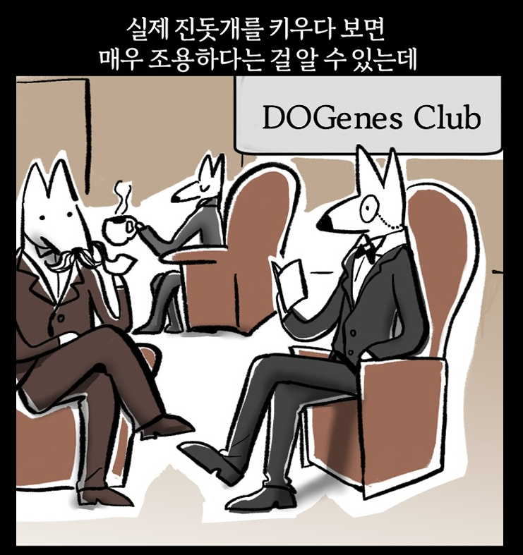 실제 진돗개 성격 | 인스티즈