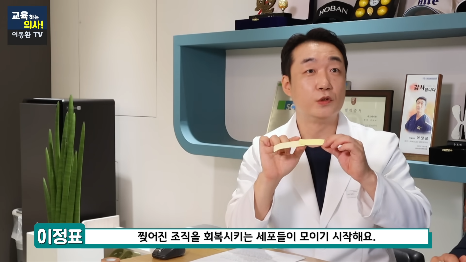600원으로 족저근막염 해결하는 방법 (신경외과 전문의 정식 추천임, 민간요법x) | 인스티즈