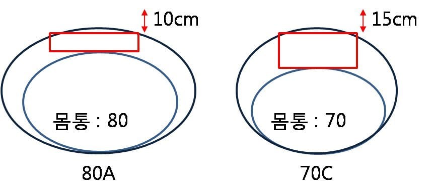 오유에서 일어난 브래지어대란 | 인스티즈