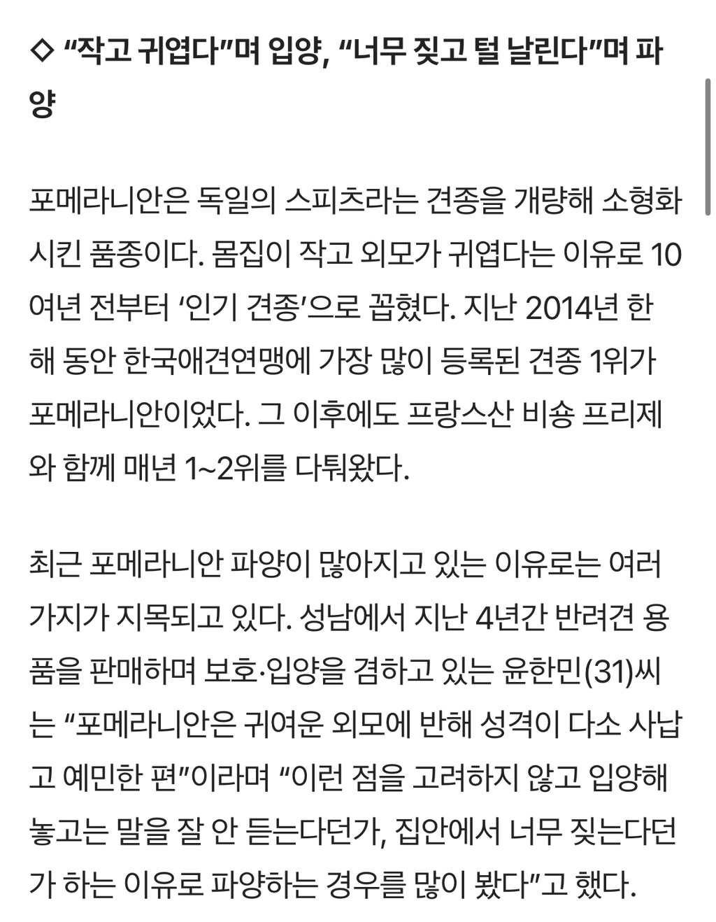 입양 인기 견종 '포메라니안' 이제는 파양 많다는데 | 인스티즈
