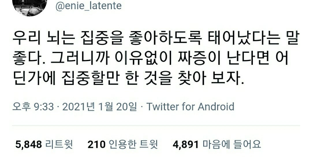 그냥 해. 안되면 울어. 그리고 다시 해.twt (feat. 캡처) | 인스티즈