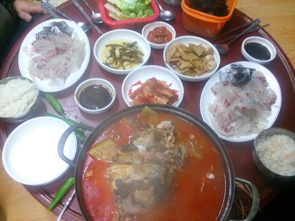 시골바다밥상 (바다 앞에 살면 회 매일 먹는거 진짜야) | 인스티즈