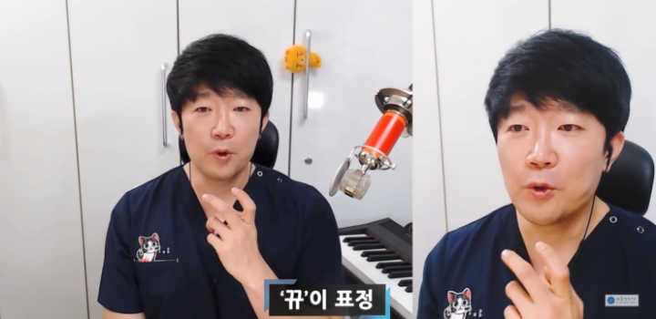 10년차 의사가 말하는 입꼬리필러 하지말아야하는 이유 | 인스티즈