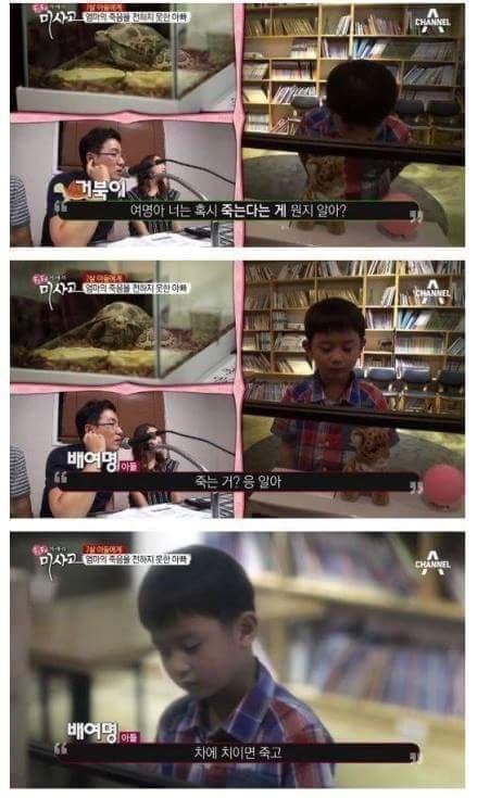 (눈물주의) 엄마의 죽음을 받아들이는 아이 (슬픔주의) | 인스티즈