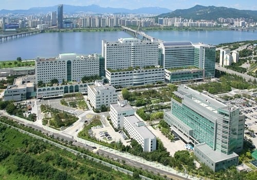 대한민국 5대 메이저 의과대학교 | 인스티즈