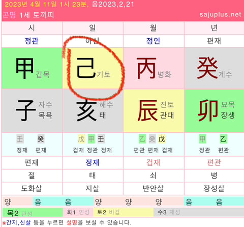 [사주] 천간별 특징 및 이미지 (복채댓 그냥 재미로 보기!) | 인스티즈