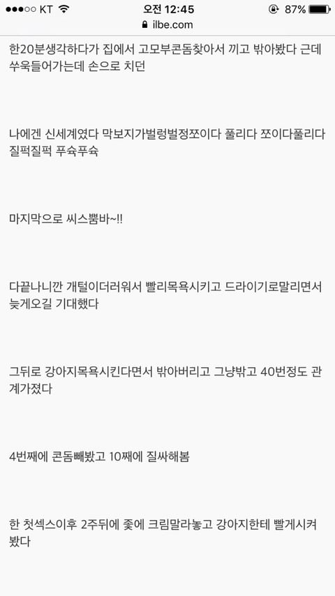 구글에"강아지랑 하기"를 검색하면 (혐오주의) | 인스티즈