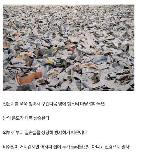흙수저 갤러리 올타임 레전드......가난그릴스.....JPG | 인스티즈