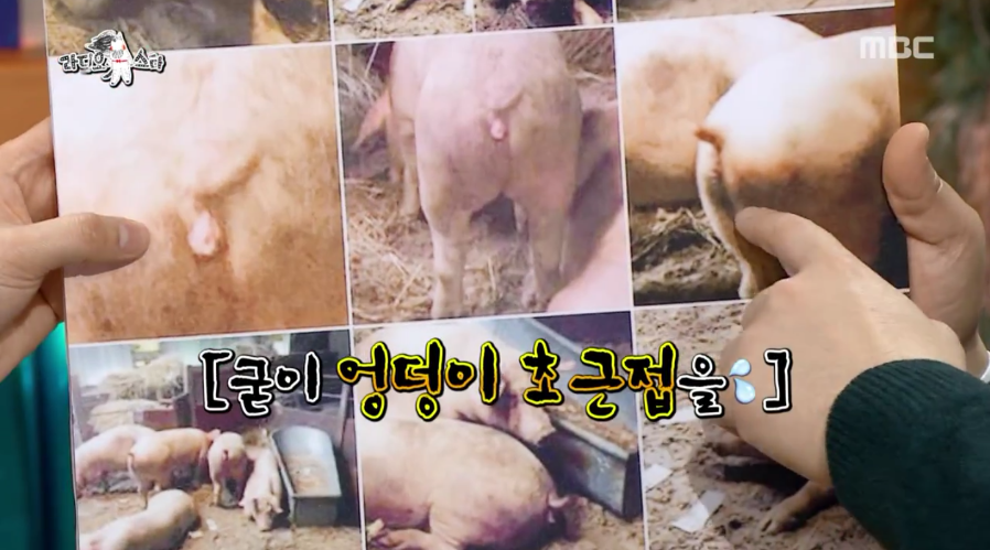 [라스] 진짜 좀 이상한 빅뱅 탑ㅋㅋㅋ.jpg | 인스티즈