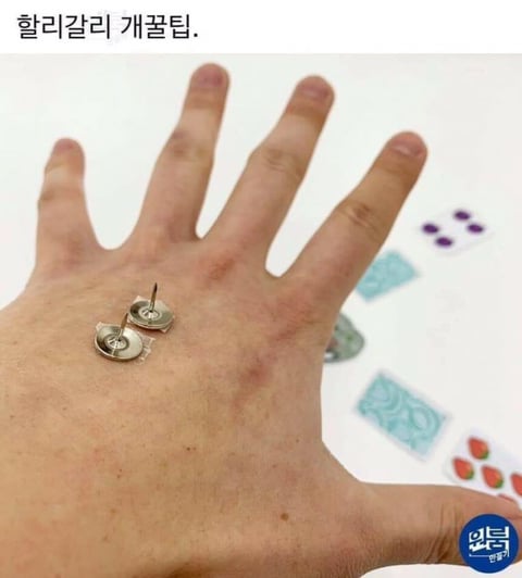 할리갈리 필승법 | 인스티즈
