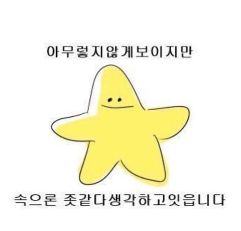 100% 주관적인 mbti별 대표 짤들 | 인스티즈