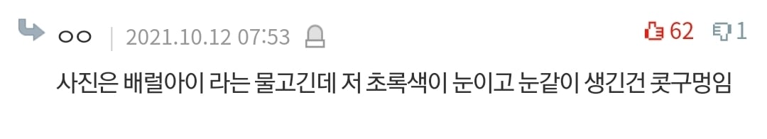 살면서 본 충격적인 심해/우주/인체썰 댓글 | 인스티즈