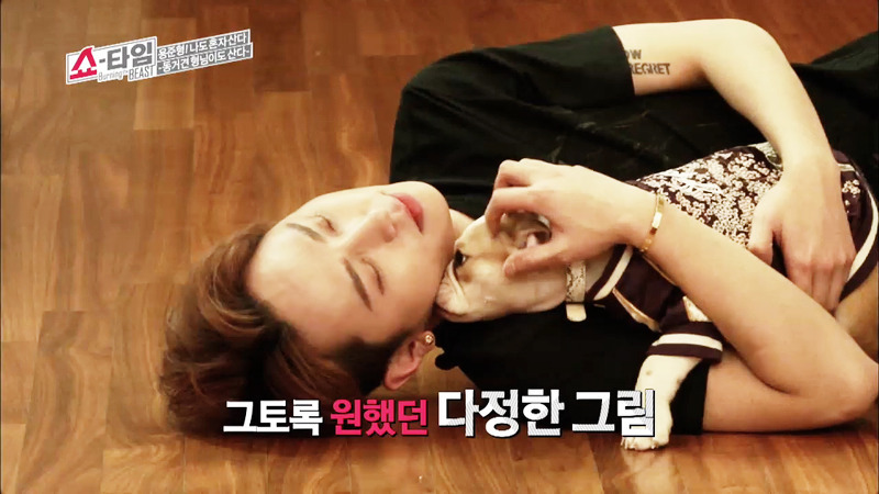 남자 아이돌이 키우는 강아지들 | 인스티즈