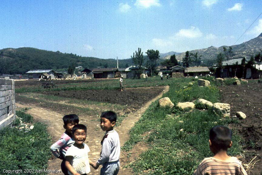 1969년 대한민국의 일상 사진.jpg | 인스티즈
