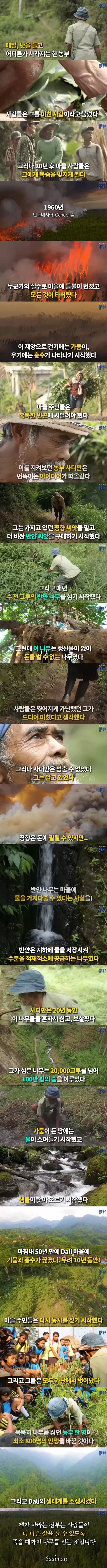 모두가 미쳤다고 생각한 농부 | 인스티즈