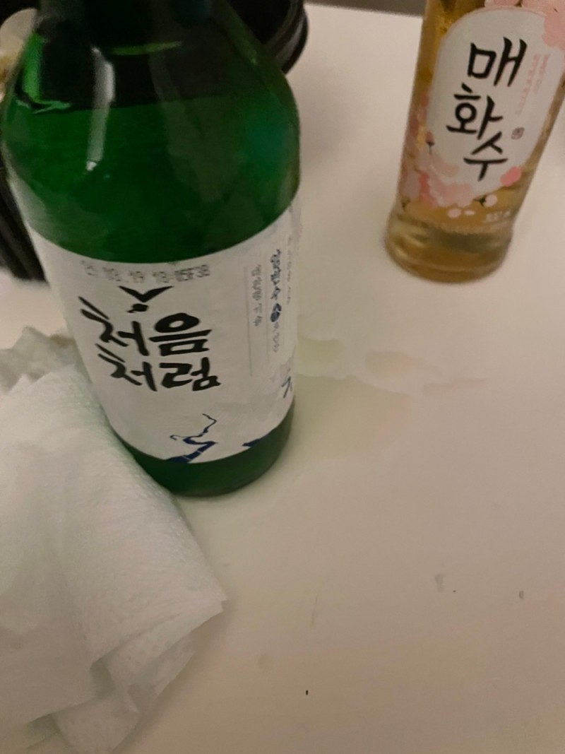 자취생의 혼술 일기 (스압/날것주의) | 인스티즈