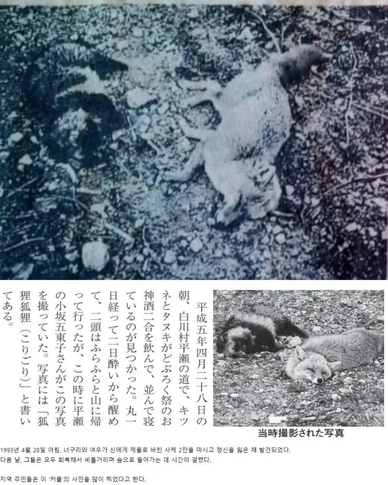 신사에 술을 바쳤더니 나타난 녀석들의 최후 | 인스티즈