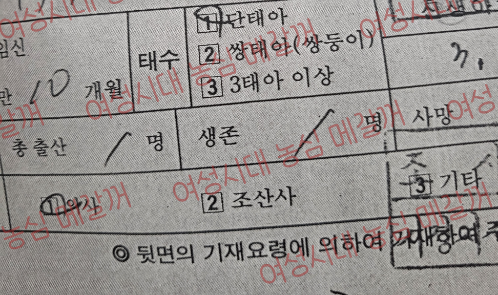 만 27세가 지나면 영영 못보는 출생신고서 (지났어도 법원에 따라 발급가능) | 인스티즈