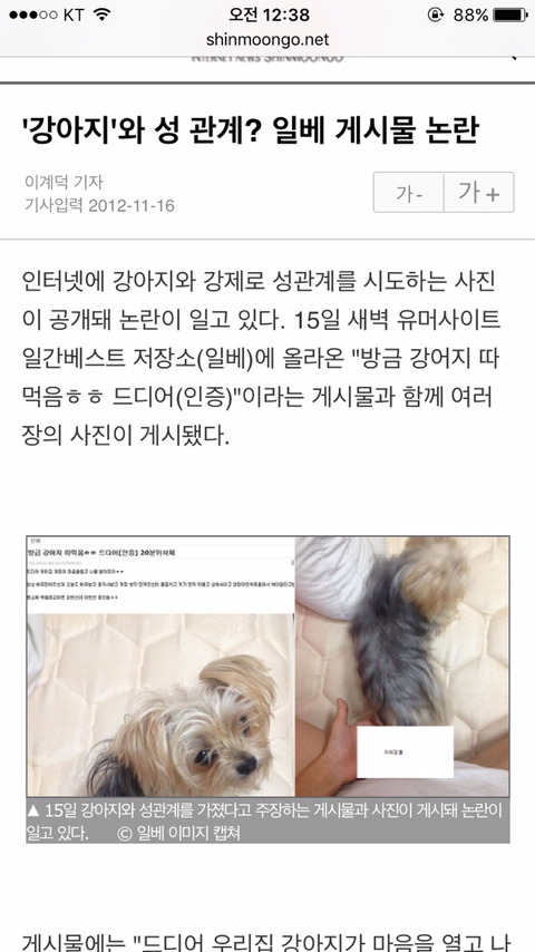 구글에"강아지랑 하기"를 검색하면 (혐오주의) | 인스티즈
