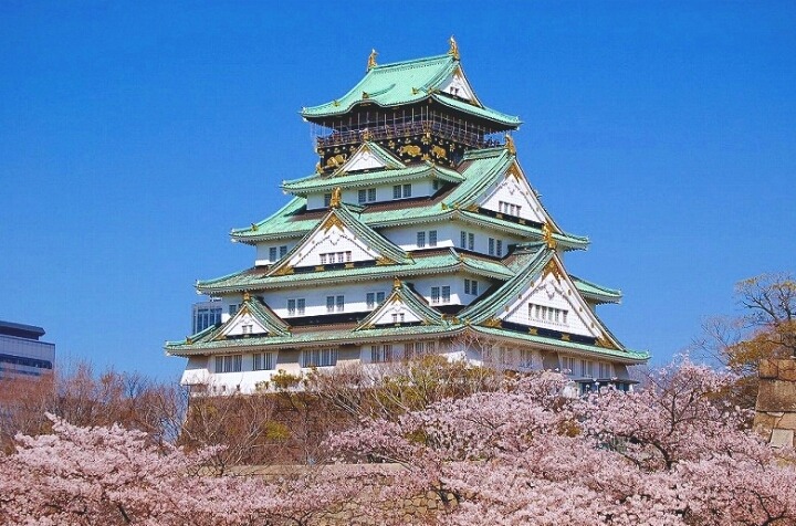 오사카 여행시 한국인들이 자주 들르는 '오사카 성'의 진실 | 인스티즈