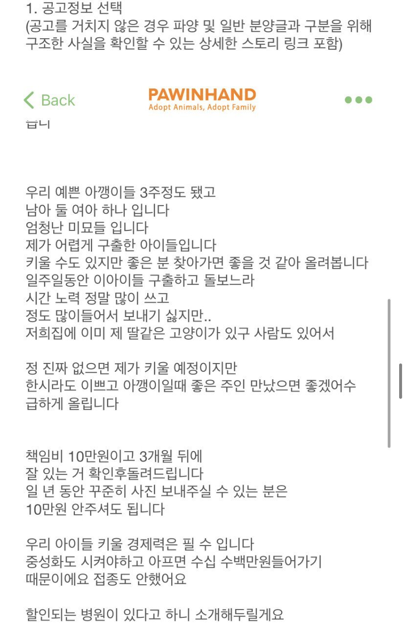 캣맘들이 품종묘 증오하는 이유.jpg | 인스티즈