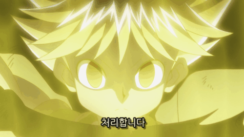 작성자 주관 헌터X헌터 전투력 순위 | 인스티즈