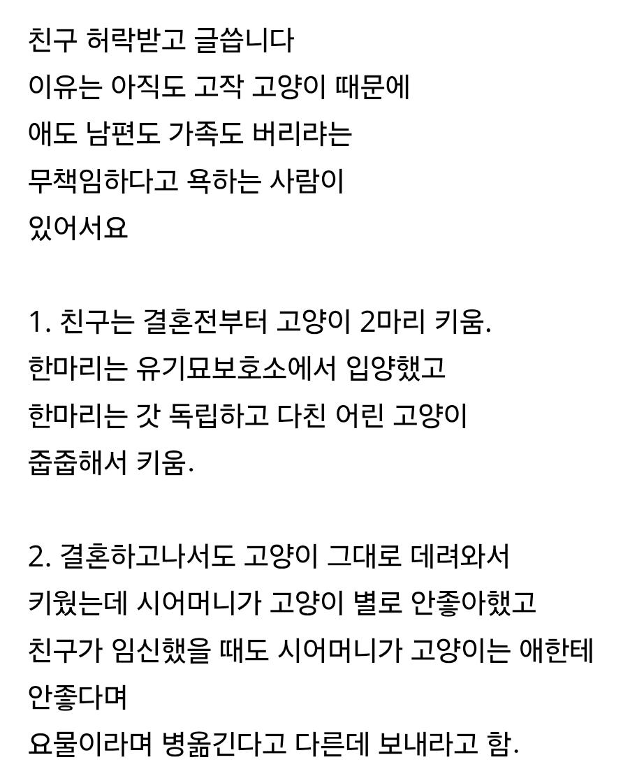 친구가 고양이 때문에 남편에게 애주고 이혼하려 함 | 인스티즈