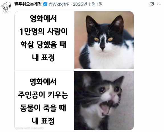 자기전에 보기 좋은 소소잼 트위터 모음 | 인스티즈