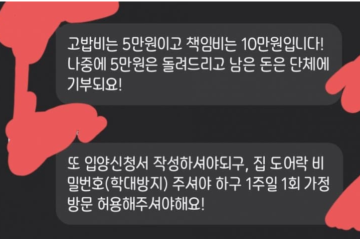 캣맘들이 품종묘 증오하는 이유.jpg | 인스티즈