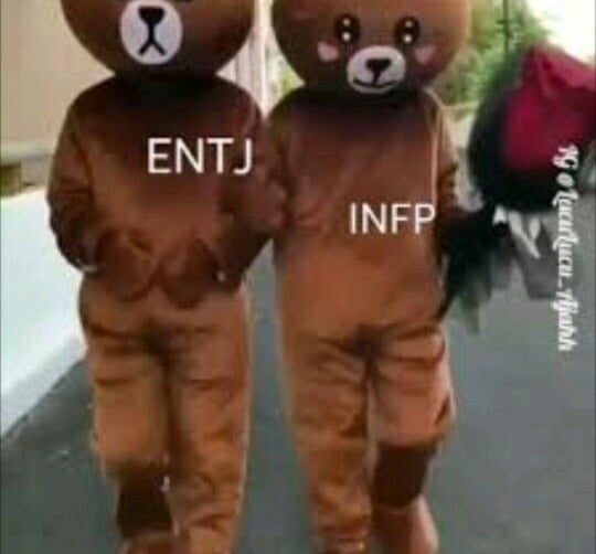 ENTJ와 INFP | 인스티즈