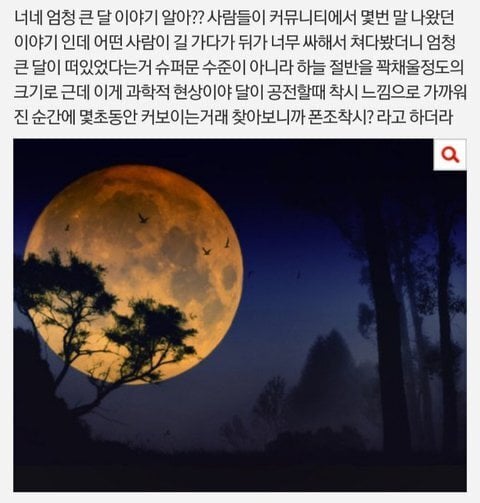 살면서 본 충격적인 심해/우주/인체썰 댓글 | 인스티즈