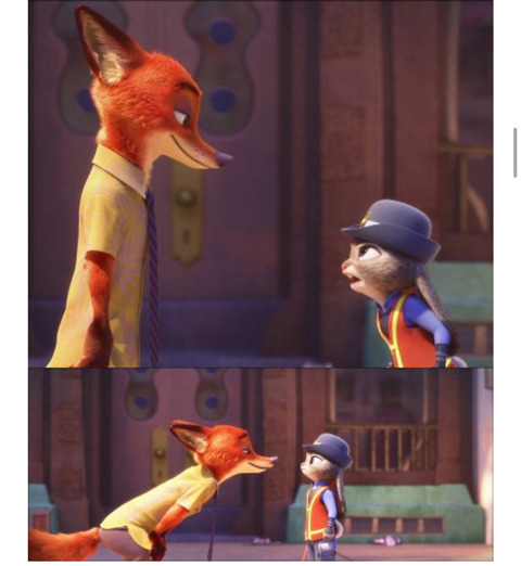 주토피아 닉,주디가 찐사랑인 이유 | 인스티즈