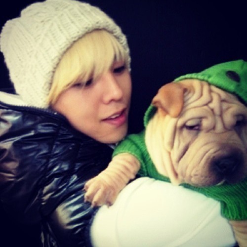 남자 아이돌이 키우는 강아지들 | 인스티즈