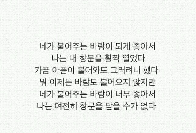 아련하고 먹먹한 시 글귀 모음 | 인스티즈