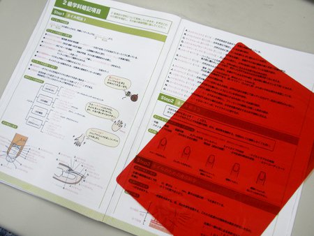 일본에서 암기용으로 많이 사용하는것 | 인스티즈