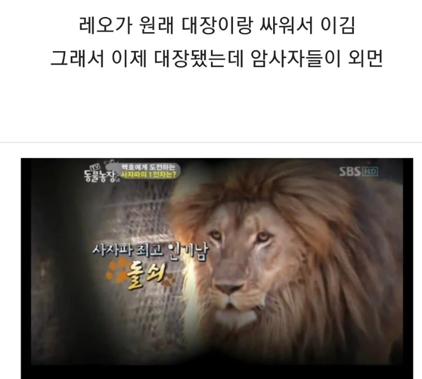 "진정한 이성적 사랑은 외모로부터 나온다" | 인스티즈