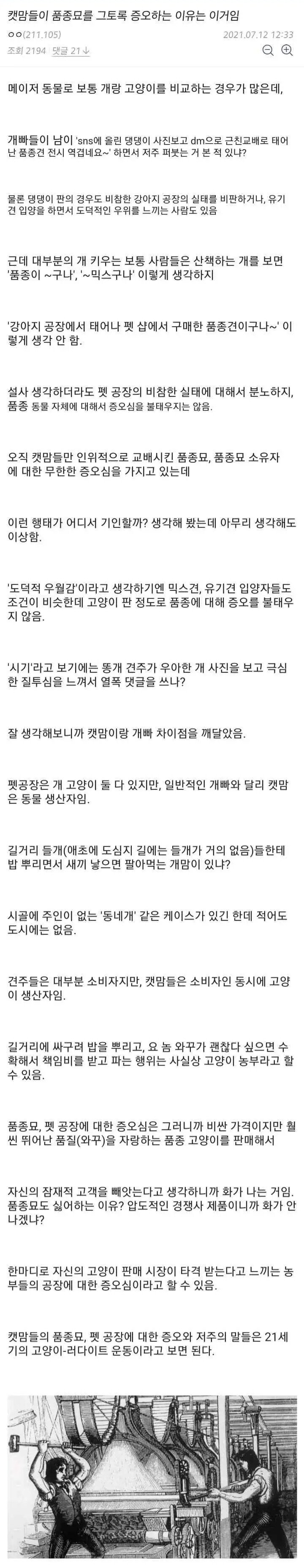 캣맘들이 품종묘 증오하는 이유.jpg | 인스티즈