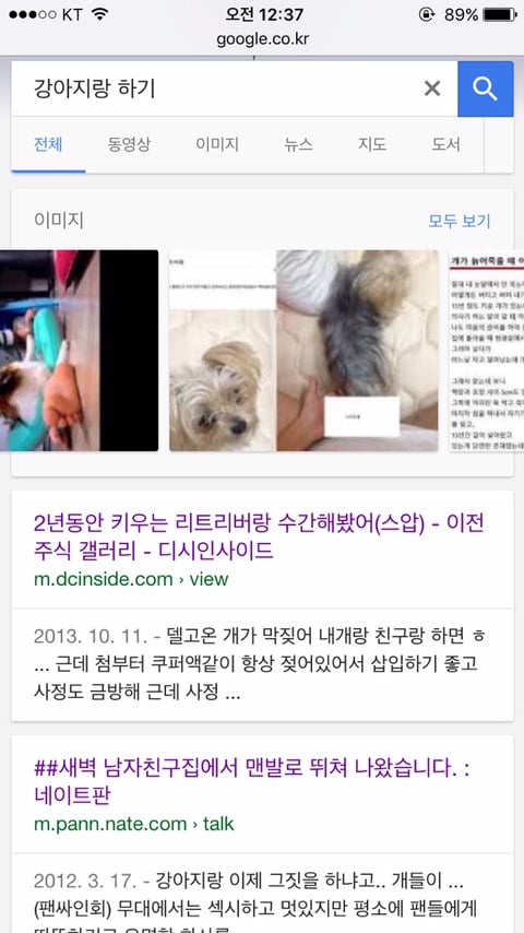 구글에"강아지랑 하기"를 검색하면 (혐오주의) | 인스티즈