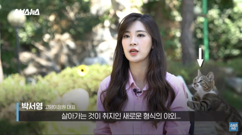 한국 최초 야외 고양이 카페 | 인스티즈