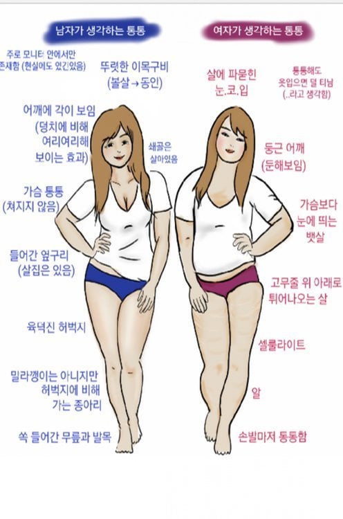 남녀가 보는 통통하다의 기준 | 인스티즈