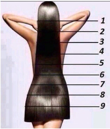 각자 생각하는 여자의 이상적인 머리길이는? | 인스티즈