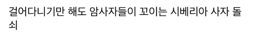 "진정한 이성적 사랑은 외모로부터 나온다" | 인스티즈