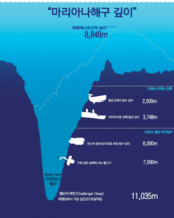 심해에 사는 물고기들 | 인스티즈