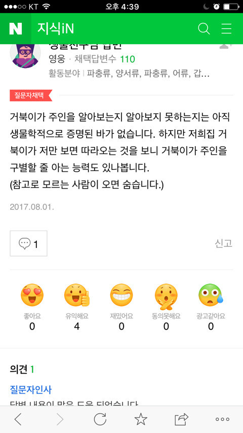 거북이가 주인을 알아보나요? 지식Q&A | 인스티즈