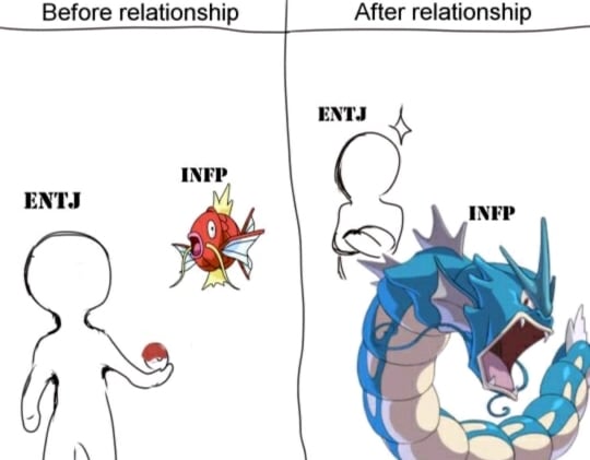 ENTJ와 INFP | 인스티즈