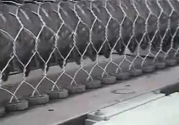 제품이 만들어지는 장면.gif | 인스티즈